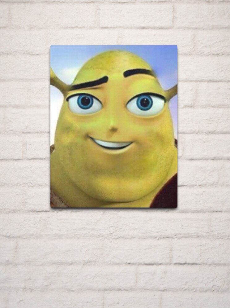 Shrek meme Photographic Print for Sale by Doflamingo99