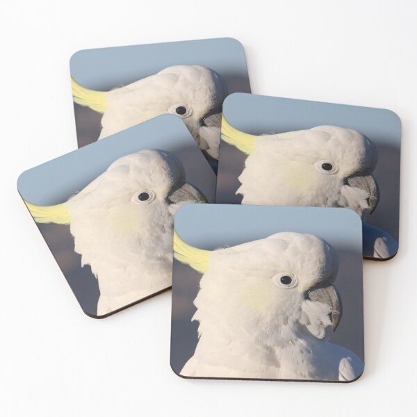 Item preview, Meeting a local at Katoomba, NSW designed and sold by Lozzie Eliza Designs.