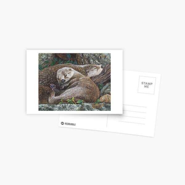 Sleeping Otters Postcard