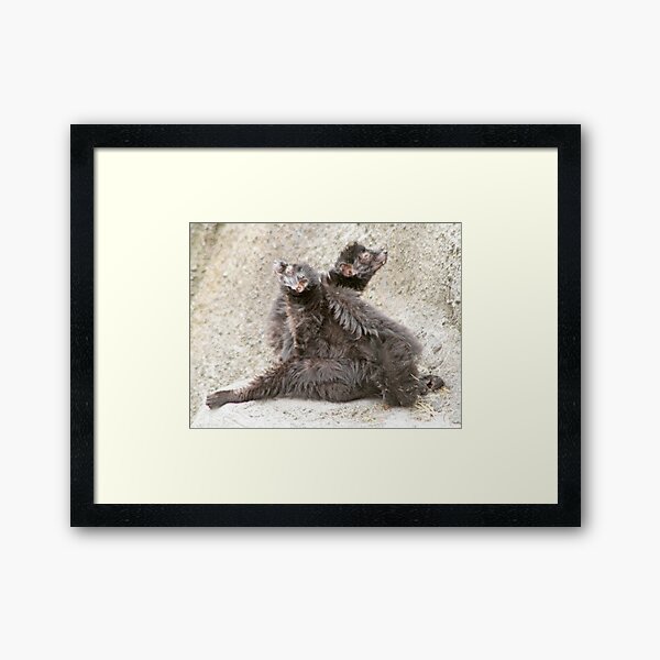Two lemurs Framed Art Print