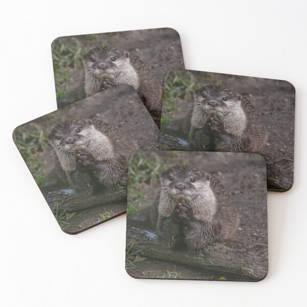 Item preview, Cute Praying Otter with Rock  designed and sold by chloerhianphoto.