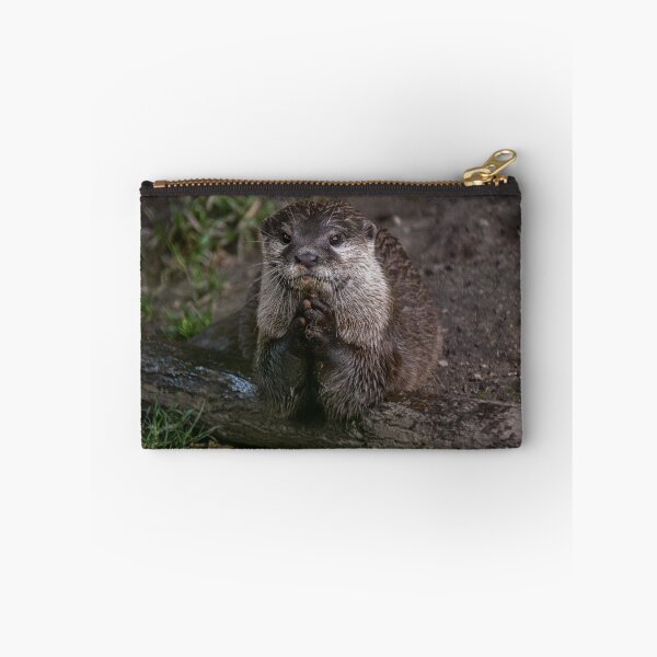 Item preview, Cute Praying Otter with Rock  designed and sold by chloerhianphoto.