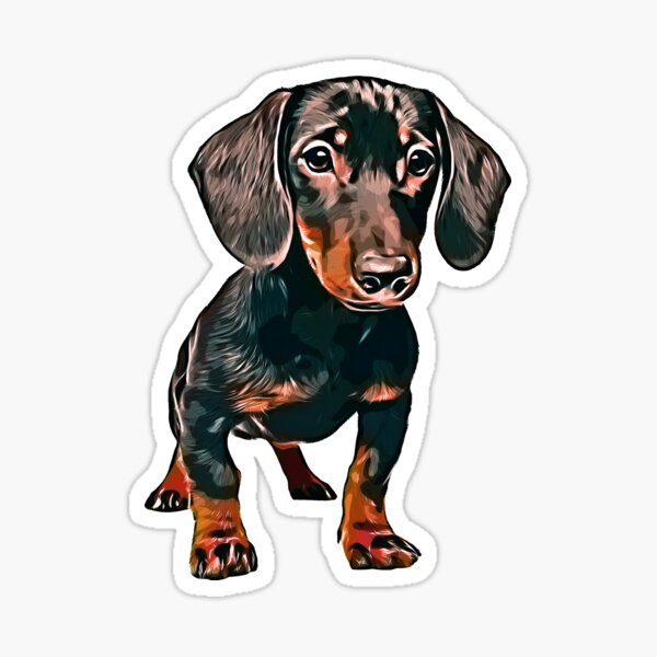 Cute Black and Tan Dachshund Puppy Sticker