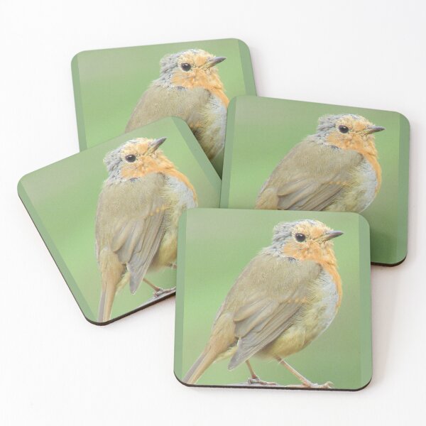 Item preview, Robin Photograph in Cannock Chase designed and sold by Paulele.