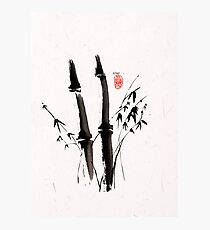 Sumi-e Bamboo Photographic Print