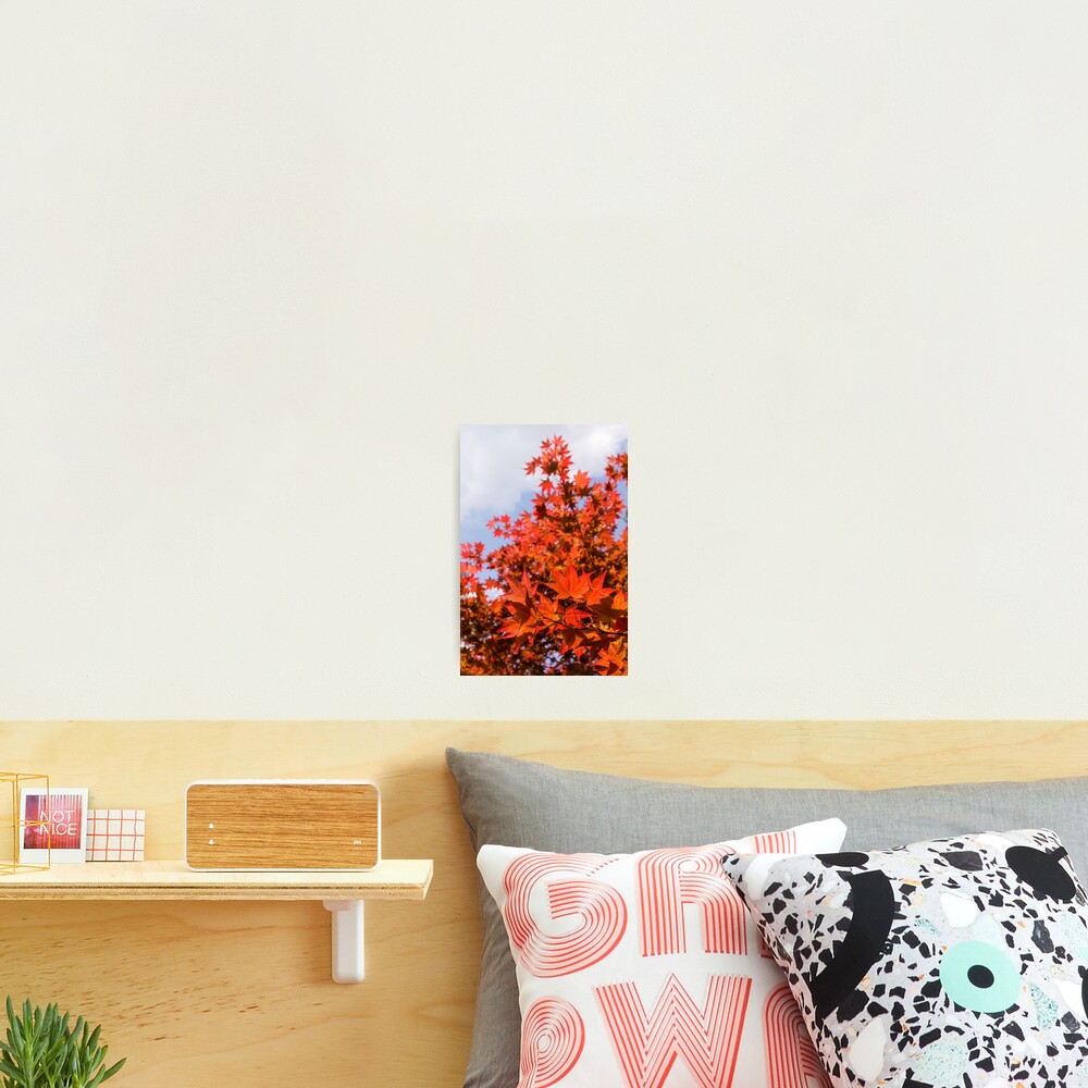 Item preview, Photographic Print designed and sold by GeorgiaM.