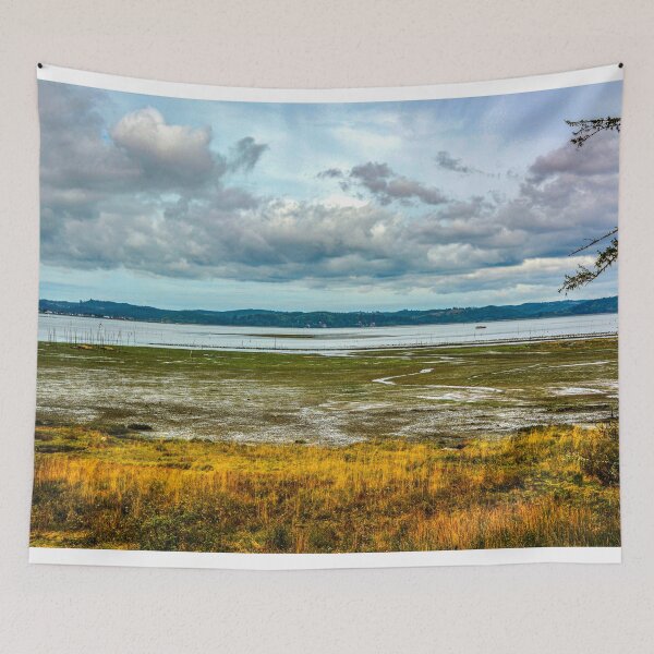 Item preview, The Oyster Capital of the World designed and sold by Bryan Spellman.