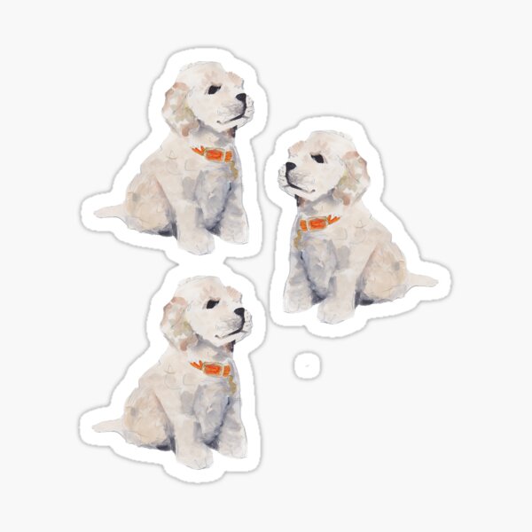 Cockapoo Welpen Geschenke Merchandise Redbubble