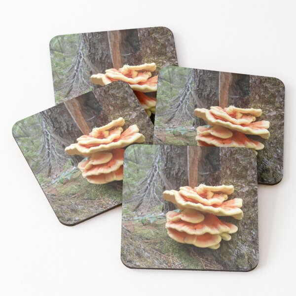 Item preview, Large Tree Fungi designed and sold by dutchiens.