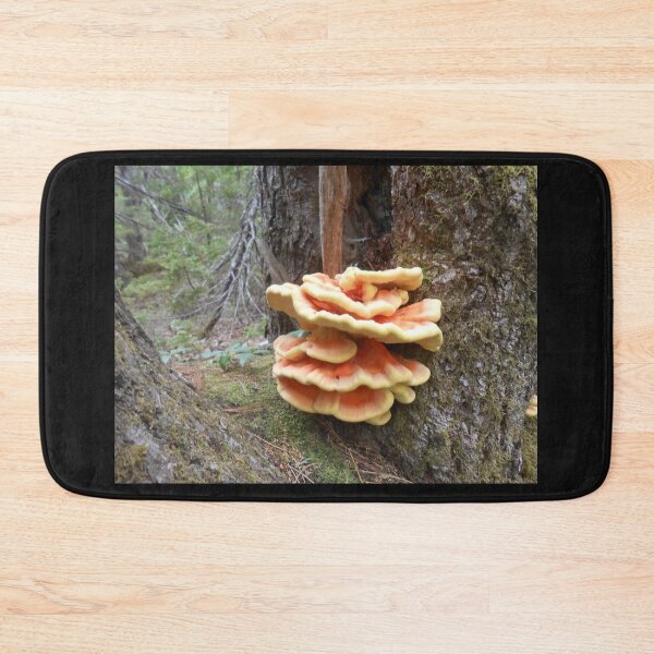 Item preview, Large Tree Fungi designed and sold by dutchiens.