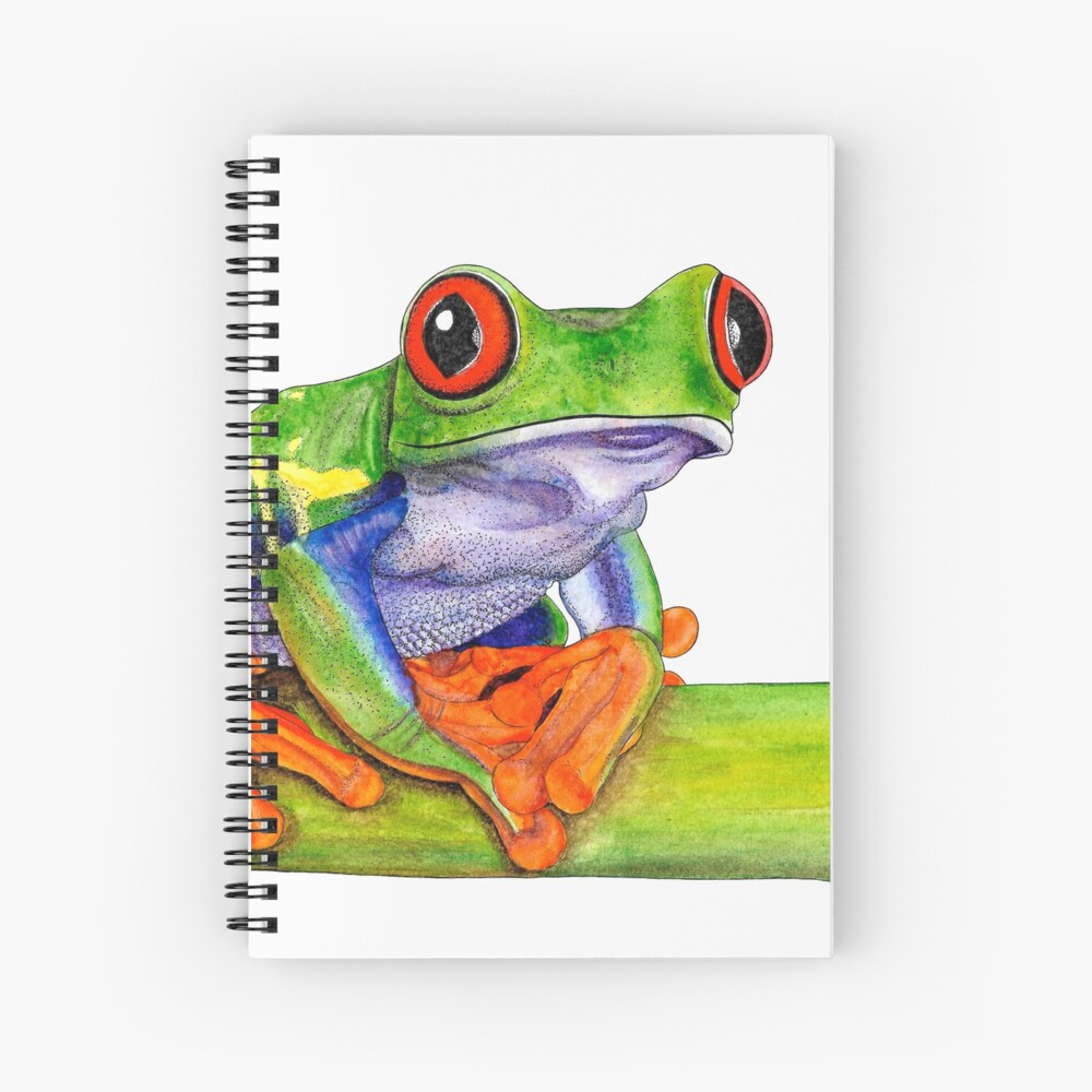 Red-eyed tree frog - ink and watercolour painting Art Print for