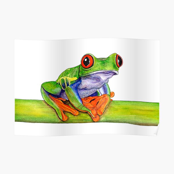 red eyed tree frog painting