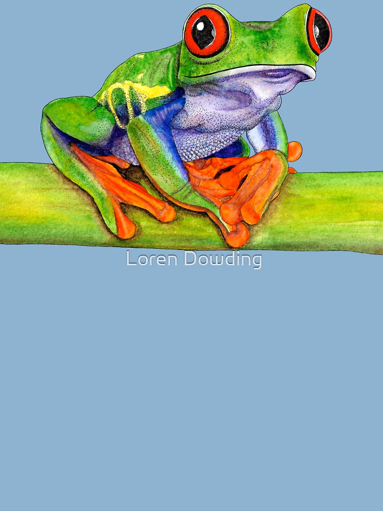 Read Eyed Tree Frog Realistic Painting -  Israel