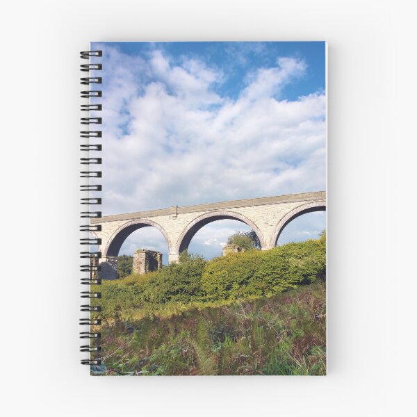 Item preview, College Wood Viaduct Penryn designed and sold by Terri Waters Photography & Design.