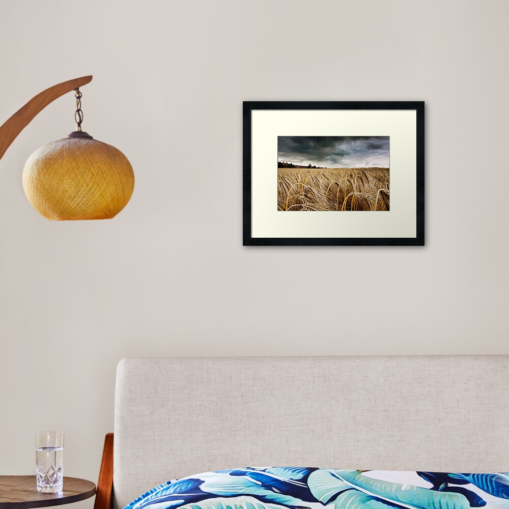 Before the Harvest Framed Art Print