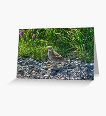 Skylark Greeting Card