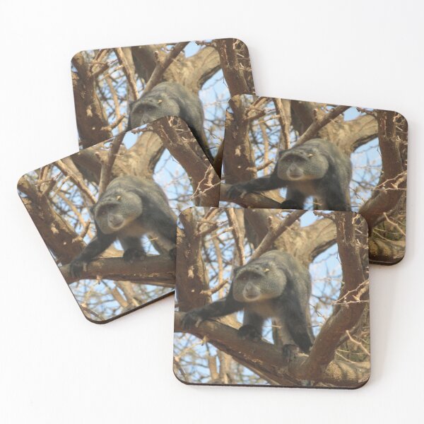 Item preview, African Olive Baboon Monkey designed and sold by LearsInteriors.