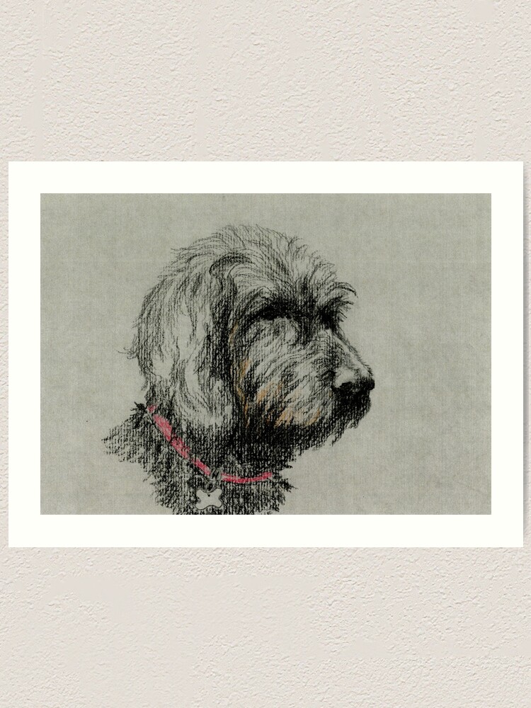 labradoodle art