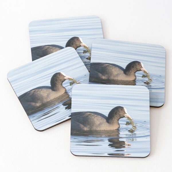 Item preview, Coot designed and sold by LaurenTucker.