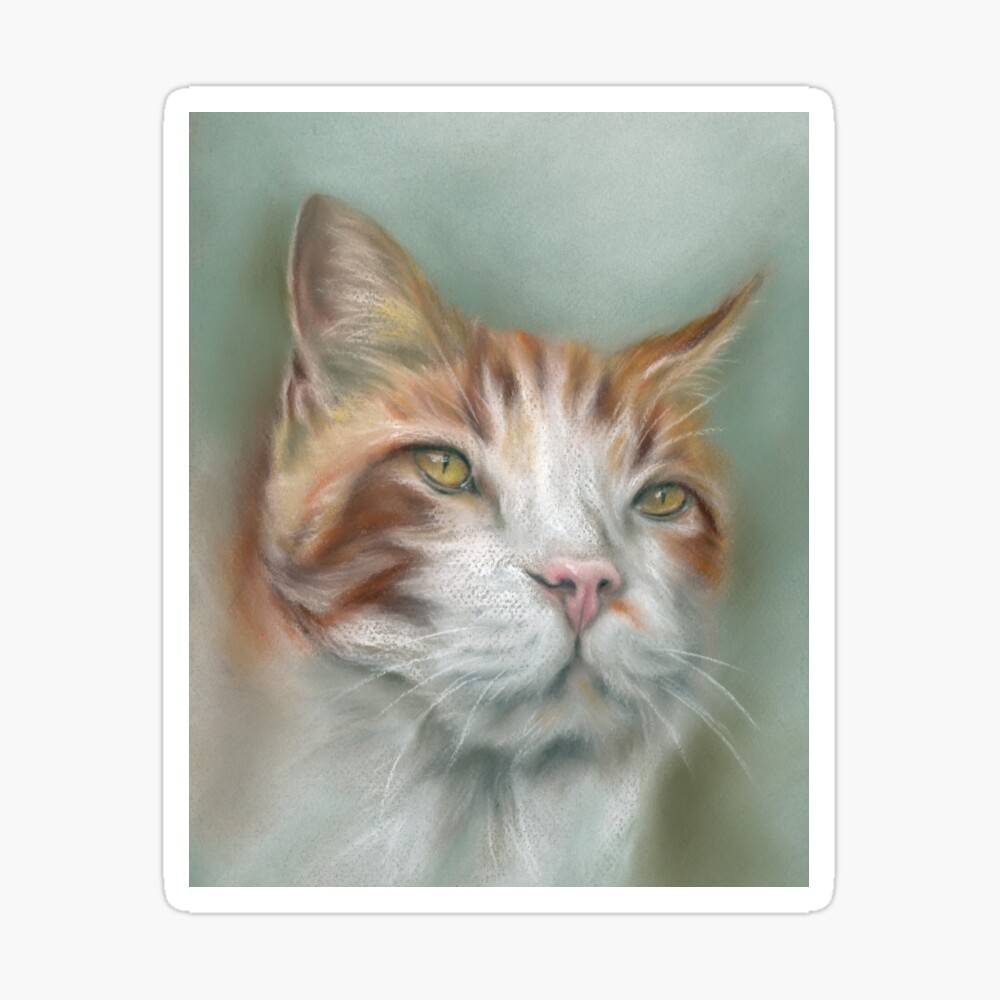 Impression Rigide Chat Tigre Blanc Et Gingembre Avec Nez Rose Par Mmandersonart Redbubble