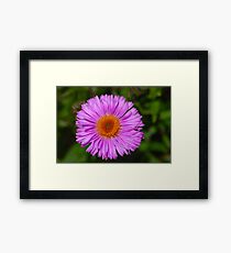 Enjoy Me :) Framed Print