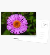 Enjoy Me :) Postcards