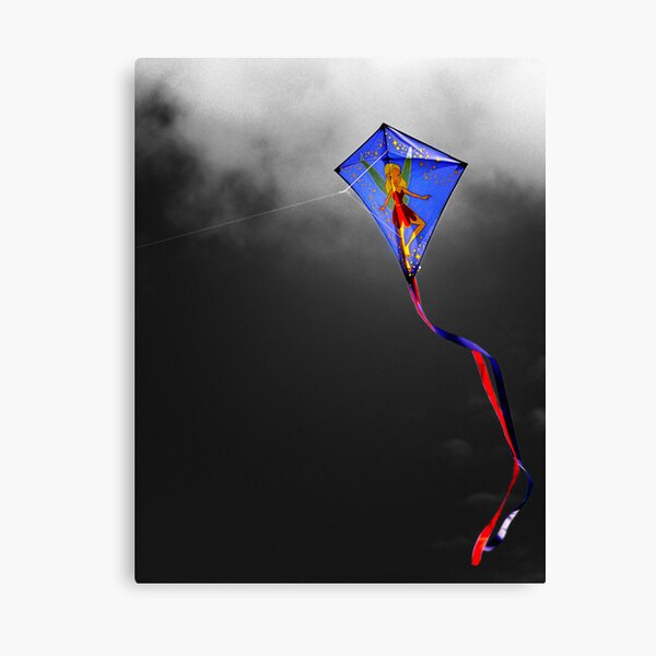 ...and send it soaring Canvas Print