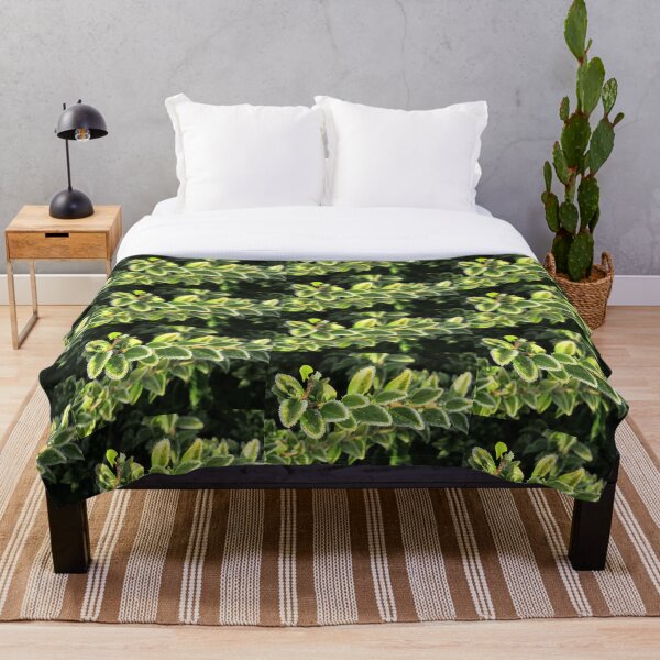 Touched By Frost - Euonymus Throw Blanket