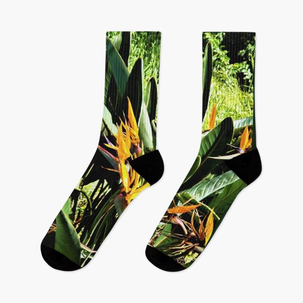 Item preview, Bird of Paradise Hawaii designed and sold by EloiseArt.