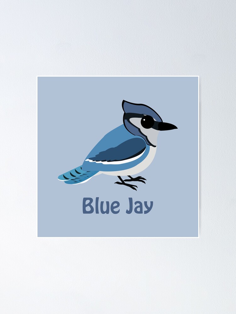 Baby Blue Jay Poster By Eggtooth Redbubble