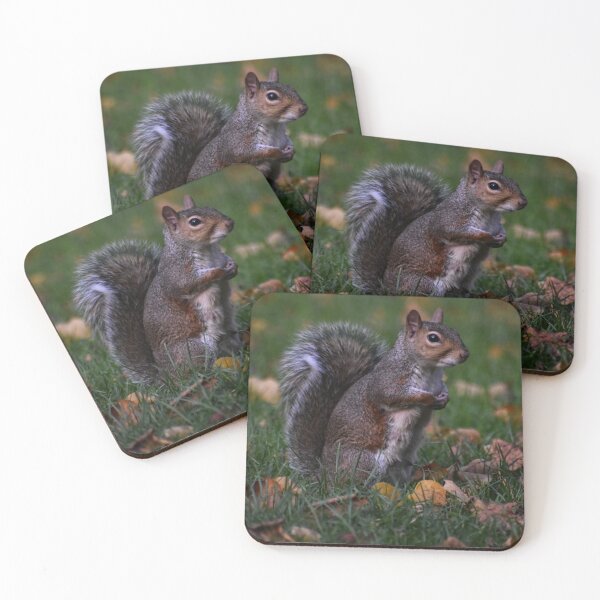 Item preview, Squirrel 1 designed and sold by Charles Oliver Creations.