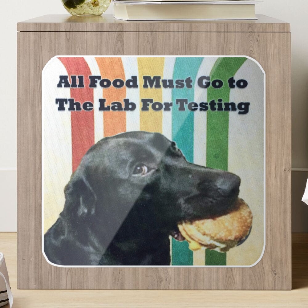 All Food Must Go To The Lab For Testing