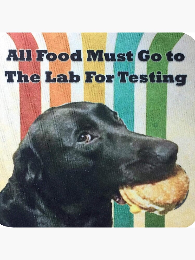 All Food Must Go To The Lab For Testing