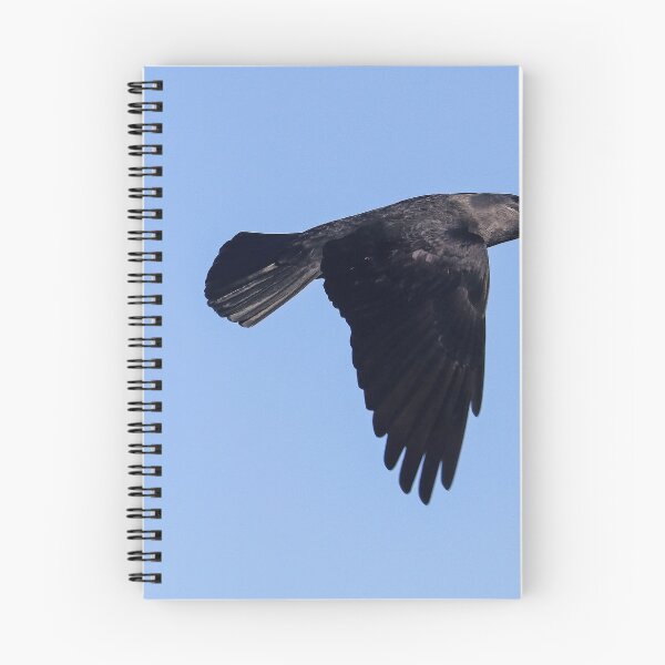 Item preview, Grajilla en vuelo designed and sold by GreyFeatherPhot.