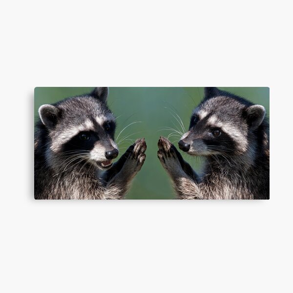 "OK.....We Promise!" Canvas Print