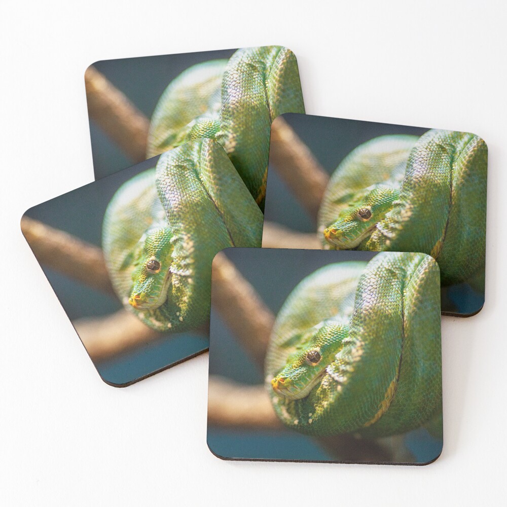 Item preview, Coasters (Set of 4) designed and sold by SpikeFlutie.