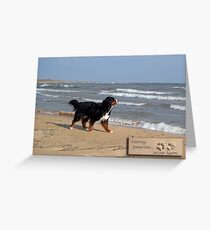 Dog Sympathy Card (beach) Greeting Card