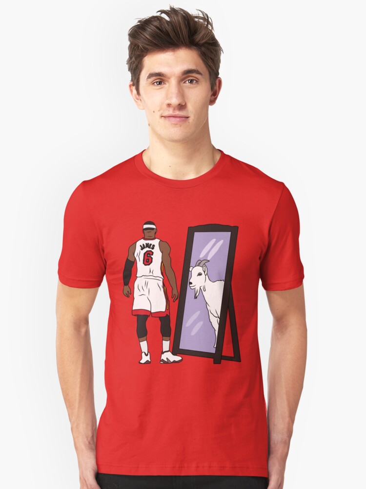 lebron heat shirt