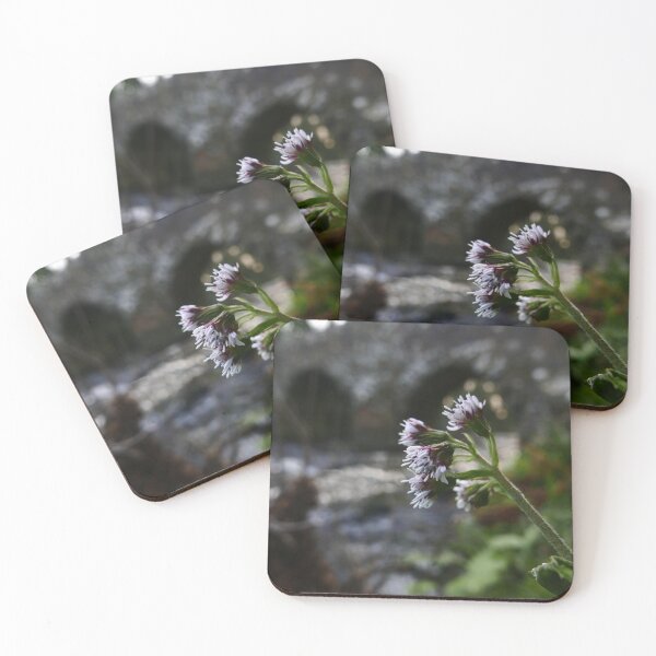 Item preview, Winter Heliotrope (Petasites fragrans) designed and sold by IOMWildFlowers.