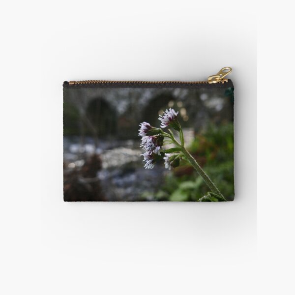 Item preview, Winter Heliotrope (Petasites fragrans) designed and sold by IOMWildFlowers.