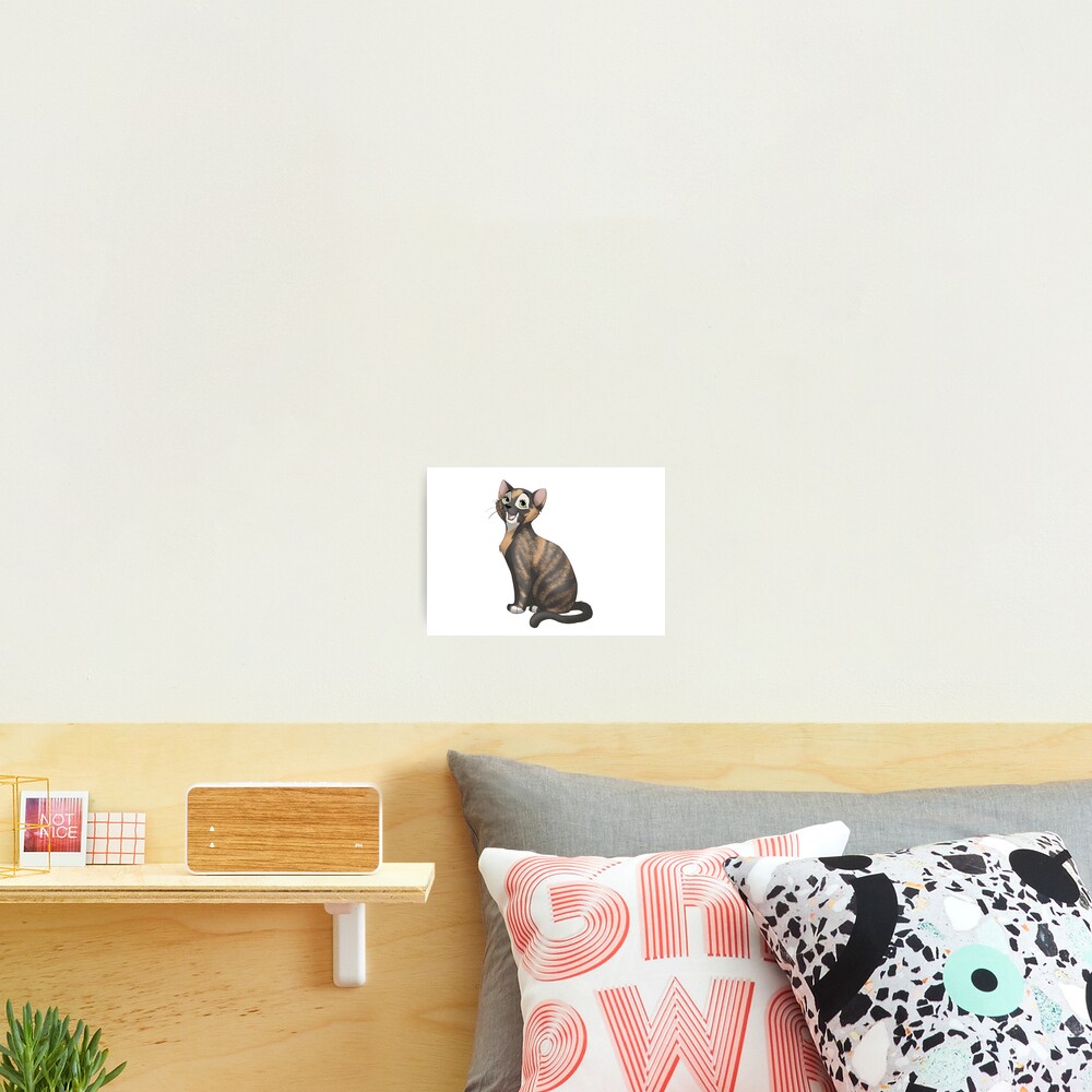 Chatty tortie cat Photographic Print