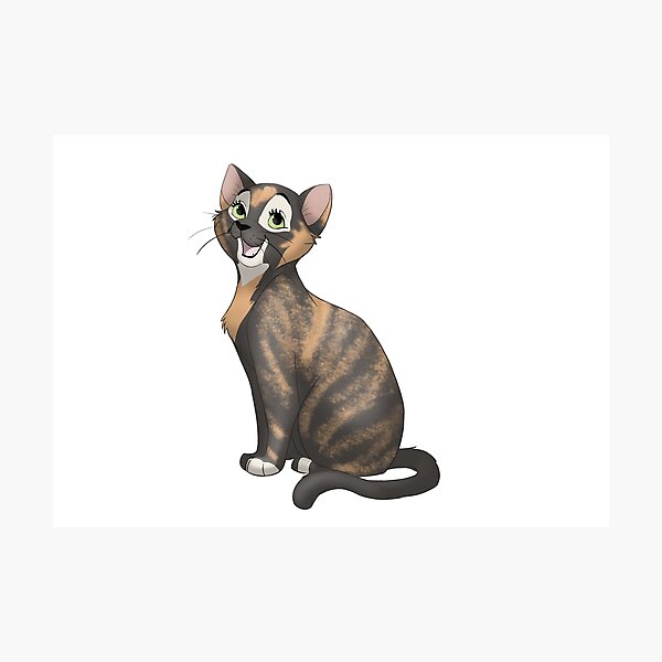 Chatty tortie cat Photographic Print