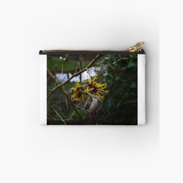 Item preview, Ozark witchhazel (Hamamelis vernalis) designed and sold by IOMWildFlowers.