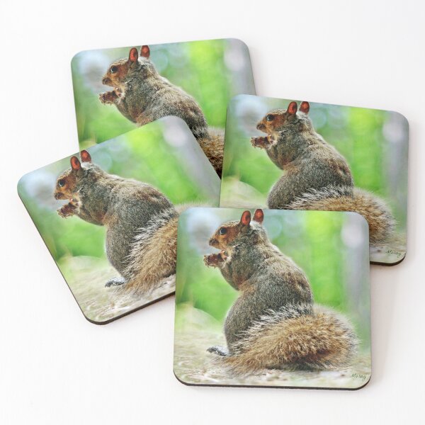 Item preview, Harry the Squirrel designed and sold by MoragBates.