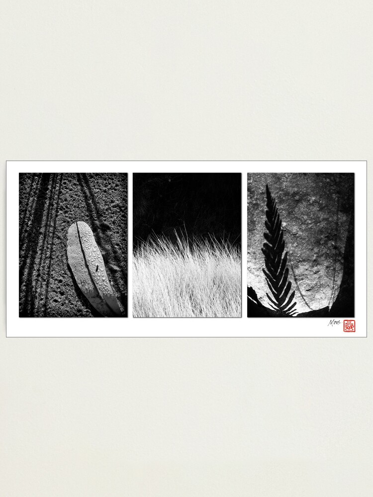 Alternate view of Leaf and Grass Photographic Print