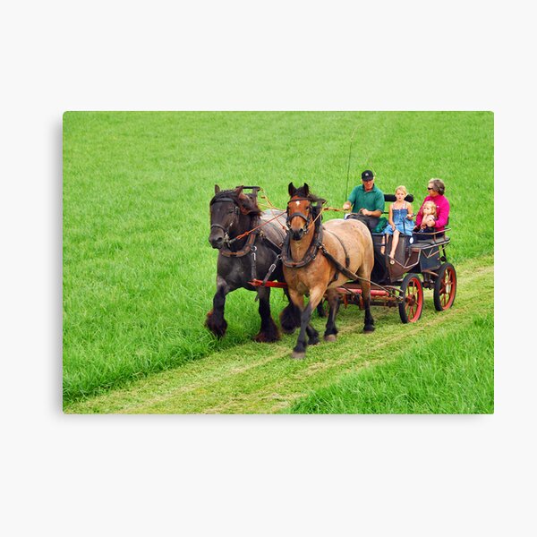 Just for fun.... Canvas Print