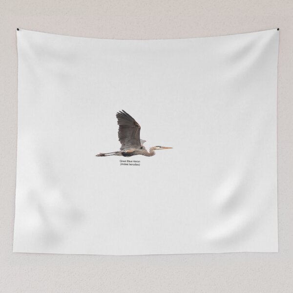 Item preview, Isolated Great Blue Heron 2019-3 designed and sold by Thomasyoung.