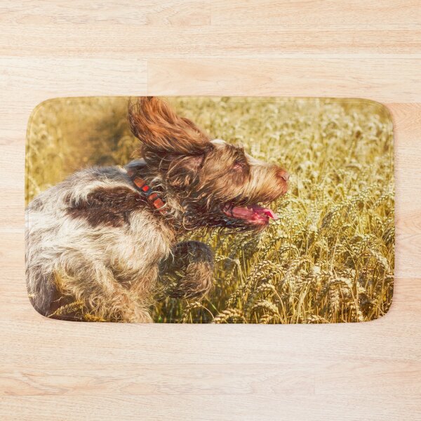 Item preview, Flying through fields Spinone designed and sold by FOLK ART FUSION by heidiannemorris.