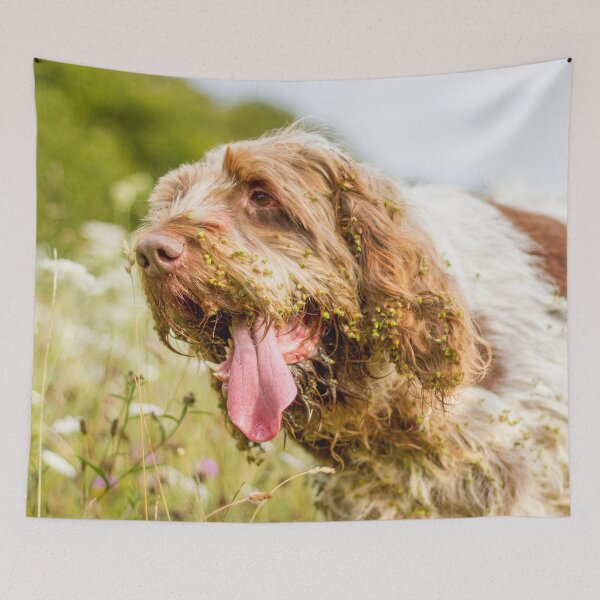 Item preview, Covered in Cleavers Spinone designed and sold by FOLK ART FUSION by heidiannemorris.