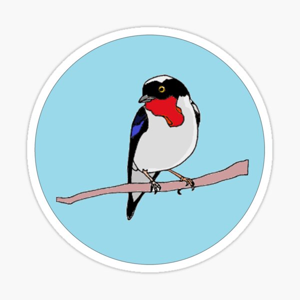 Cherry-Throated Tanager Sticker